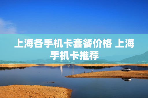 上海各手机卡套餐价格 上海手机卡推荐