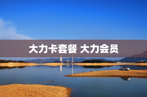 大力卡套餐 大力会员