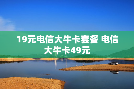 19元电信大牛卡套餐 电信大牛卡49元
