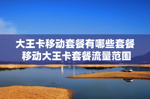 大王卡移动套餐有哪些套餐 移动大王卡套餐流量范围