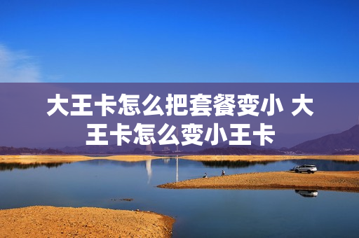 大王卡怎么把套餐变小 大王卡怎么变小王卡