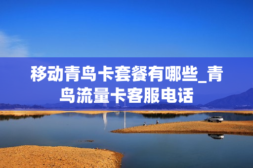 移动青鸟卡套餐有哪些_青鸟流量卡客服电话