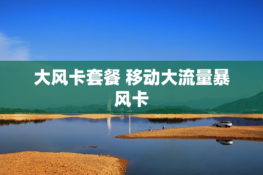 大风卡套餐 移动大流量暴风卡