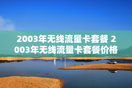 2003年无线流量卡套餐 2003年无线流量卡套餐价格