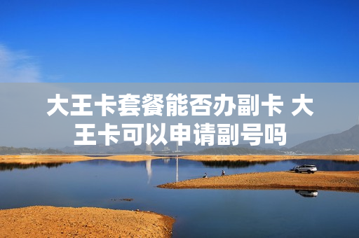 大王卡套餐能否办副卡 大王卡可以申请副号吗