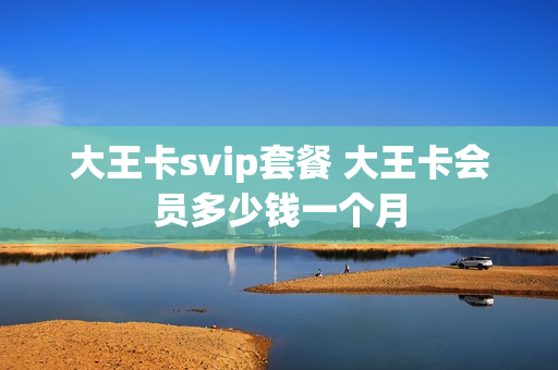 大王卡svip套餐 大王卡会员多少钱一个月