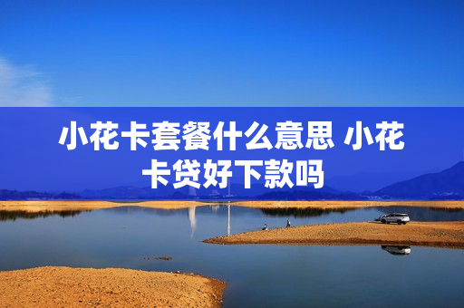 小花卡套餐什么意思 小花卡贷好下款吗