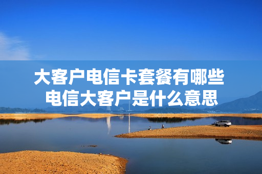 大客户电信卡套餐有哪些 电信大客户是什么意思