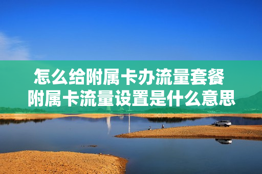 怎么给附属卡办流量套餐 附属卡流量设置是什么意思