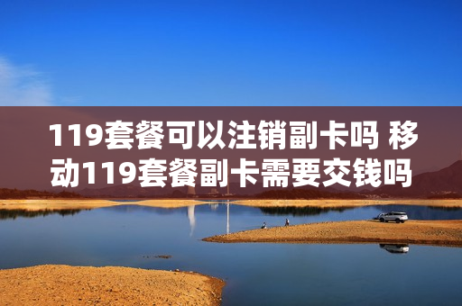 119套餐可以注销副卡吗 移动119套餐副卡需要交钱吗