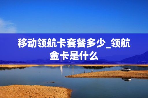 移动领航卡套餐多少_领航金卡是什么