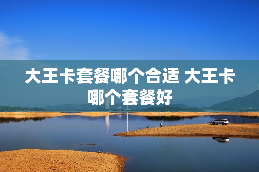 大王卡套餐哪个合适 大王卡哪个套餐好