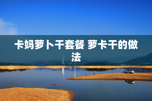 卡妈萝卜干套餐 萝卡干的做法