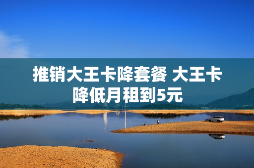推销大王卡降套餐 大王卡降低月租到5元