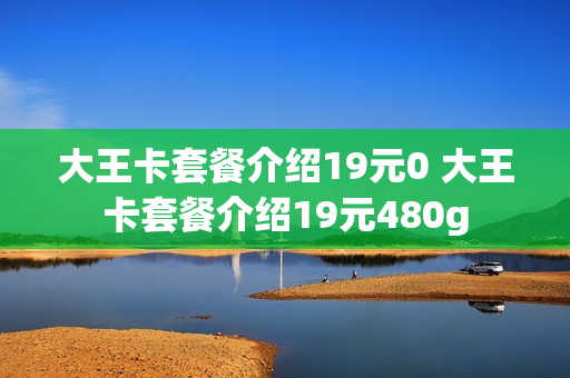 大王卡套餐介绍19元0 大王卡套餐介绍19元480g
