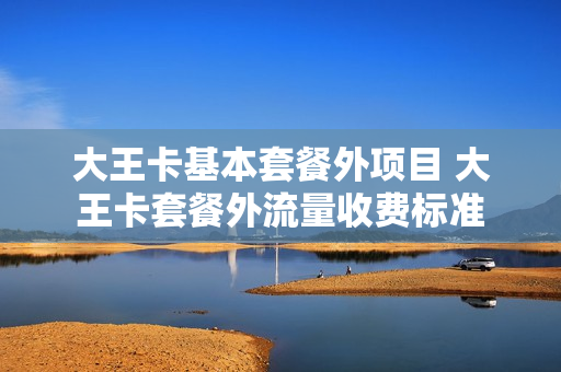 大王卡基本套餐外项目 大王卡套餐外流量收费标准