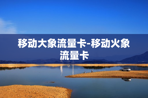 移动大象流量卡-移动火象流量卡
