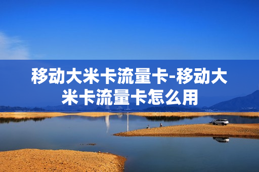 移动大米卡流量卡-移动大米卡流量卡怎么用