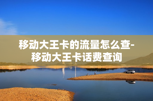 移动大王卡的流量怎么查-移动大王卡话费查询