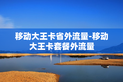 移动大王卡省外流量-移动大王卡套餐外流量