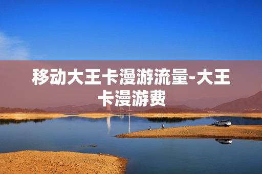 移动大王卡漫游流量-大王卡漫游费