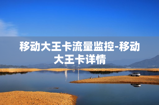 移动大王卡流量监控-移动大王卡详情
