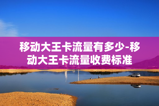移动大王卡流量有多少-移动大王卡流量收费标准