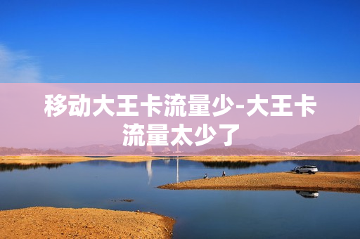 移动大王卡流量少-大王卡流量太少了