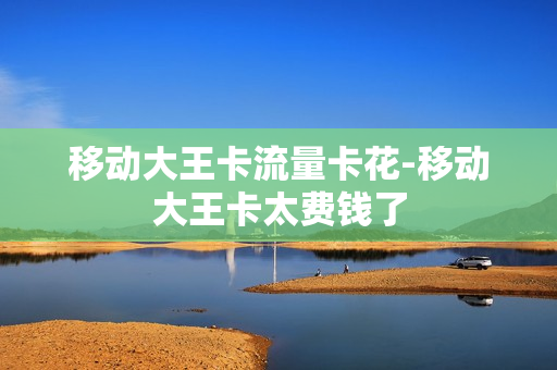 移动大王卡流量卡花-移动大王卡太费钱了