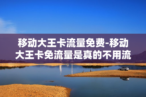 移动大王卡流量免费-移动大王卡免流量是真的不用流量吗