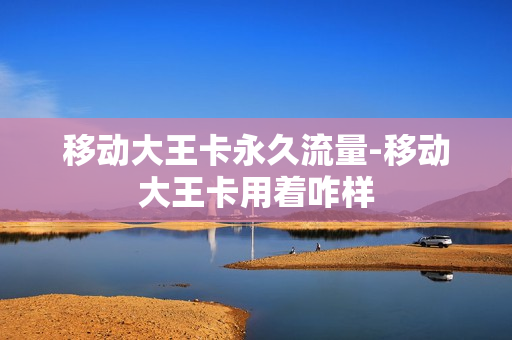移动大王卡永久流量-移动大王卡用着咋样