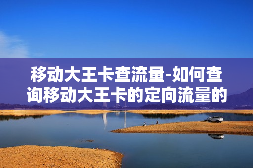 移动大王卡查流量-如何查询移动大王卡的定向流量的范围