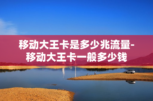 移动大王卡是多少兆流量-移动大王卡一般多少钱