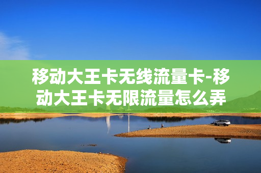 移动大王卡无线流量卡-移动大王卡无限流量怎么弄