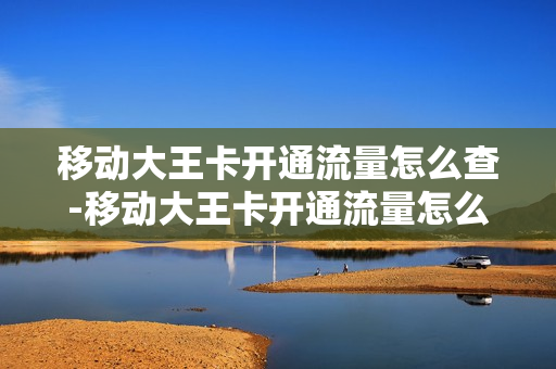 移动大王卡开通流量怎么查-移动大王卡开通流量怎么查话费