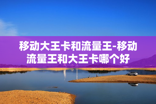 移动大王卡和流量王-移动流量王和大王卡哪个好