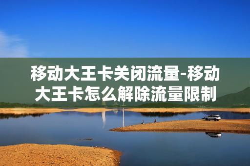 移动大王卡关闭流量-移动大王卡怎么解除流量限制