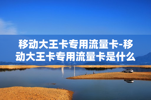 移动大王卡专用流量卡-移动大王卡专用流量卡是什么