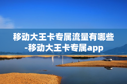 移动大王卡专属流量有哪些-移动大王卡专属app