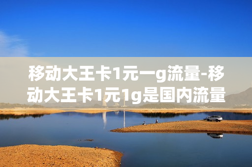 移动大王卡1元一g流量-移动大王卡1元1g是国内流量吗