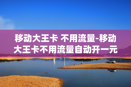 移动大王卡 不用流量-移动大王卡不用流量自动开一元一g