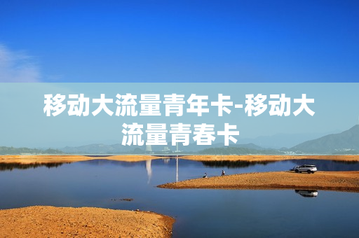移动大流量青年卡-移动大流量青春卡