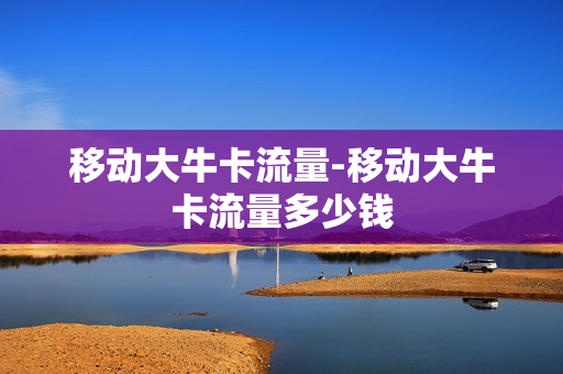 移动大牛卡流量-移动大牛卡流量多少钱