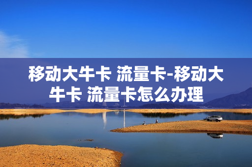 移动大牛卡 流量卡-移动大牛卡 流量卡怎么办理