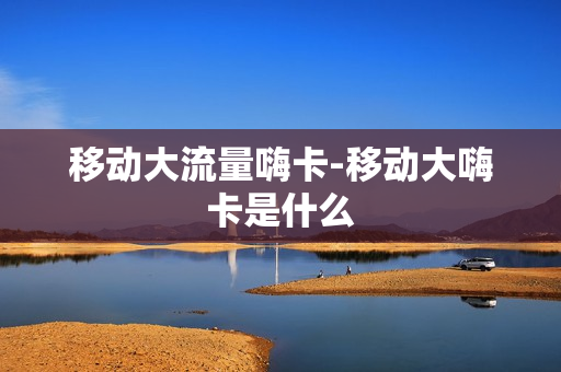 移动大流量嗨卡-移动大嗨卡是什么
