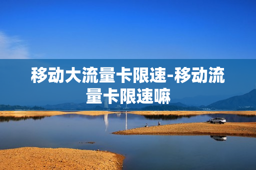 移动大流量卡限速-移动流量卡限速嘛