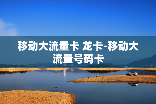 移动大流量卡 龙卡-移动大流量号码卡