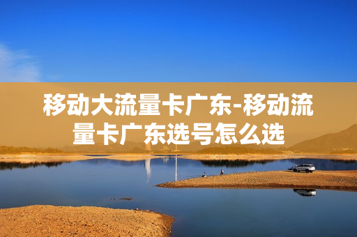 移动大流量卡广东-移动流量卡广东选号怎么选