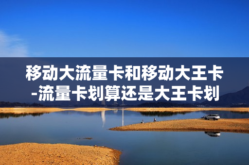 移动大流量卡和移动大王卡-流量卡划算还是大王卡划算