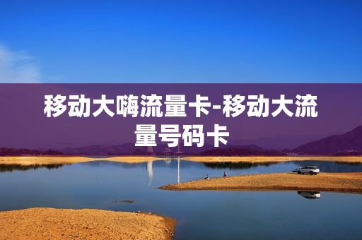 移动大嗨流量卡-移动大流量号码卡